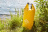 Гермомешок PAYER "Sugomak"(Сугомак) 30L (желтый) A602